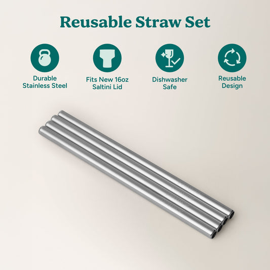 saltini-straw-set-v9 4PK_SaltiniStraws_SS-2.jpg