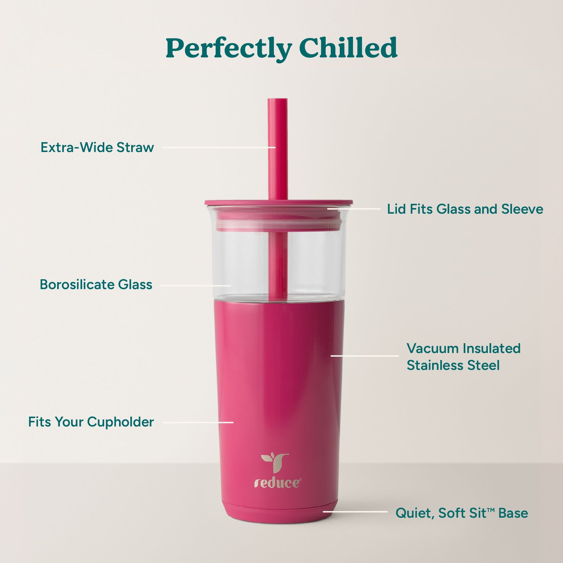 aspen-20-oz-d4 Aspen_Dragonfruit_PDP_Infographic2.jpg