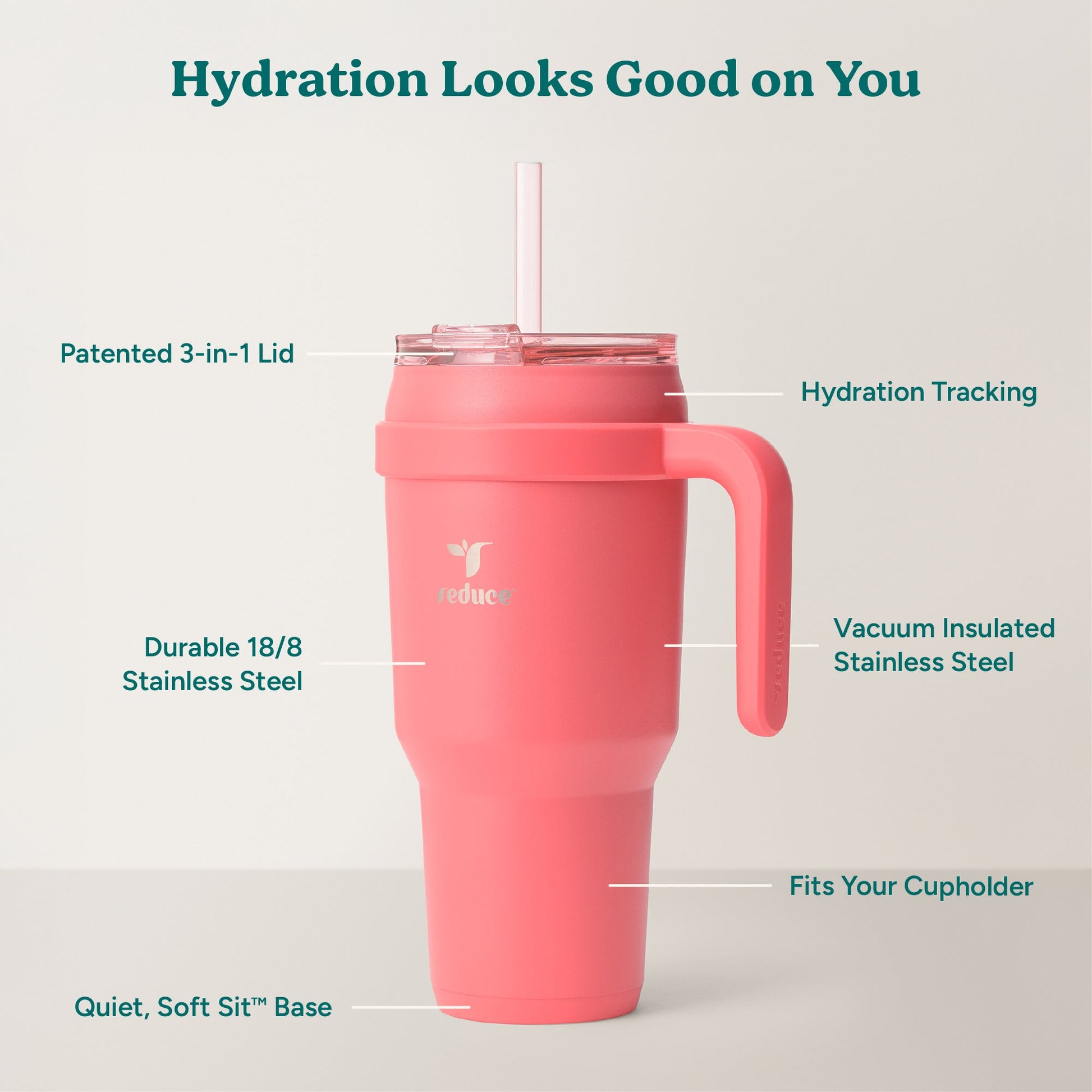 cold1-40-oz-d7 Cold1_40oz_Daiquiri_Infographic_2.jpg