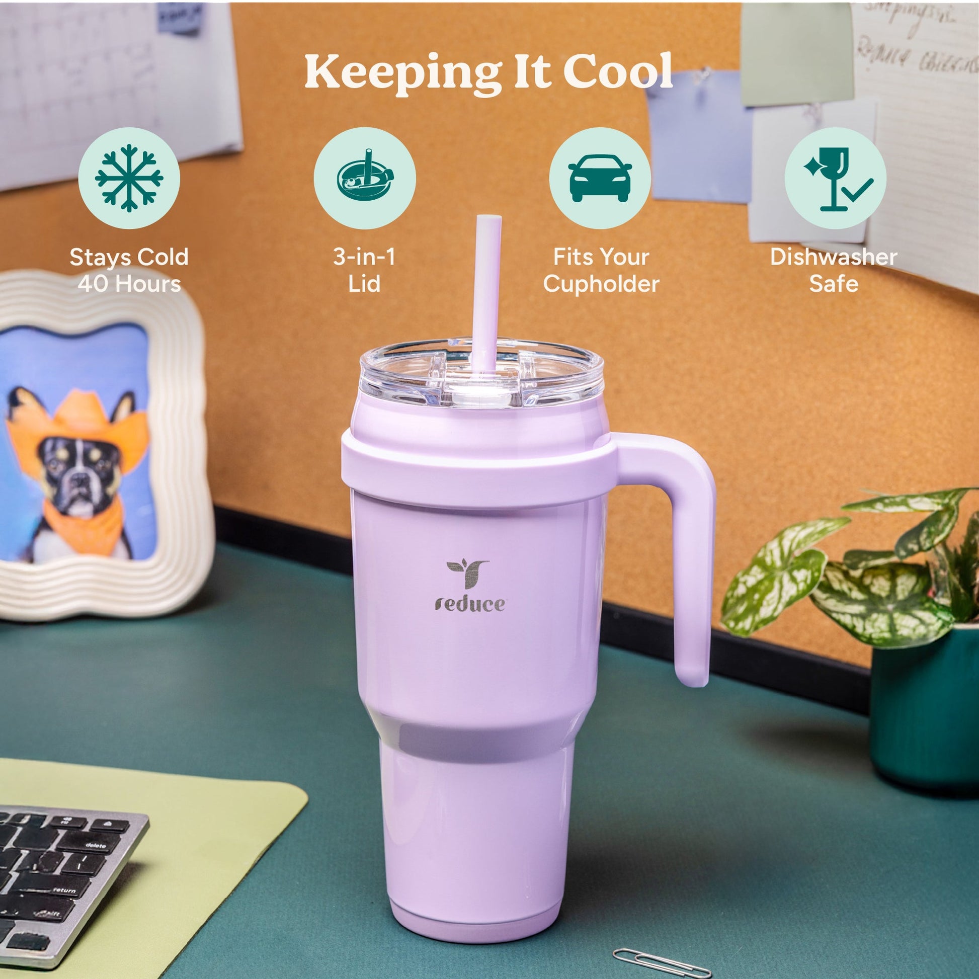 cold1-40-oz-d7 Cold1_40oz_PalmLeaf_Infographic_1.jpg