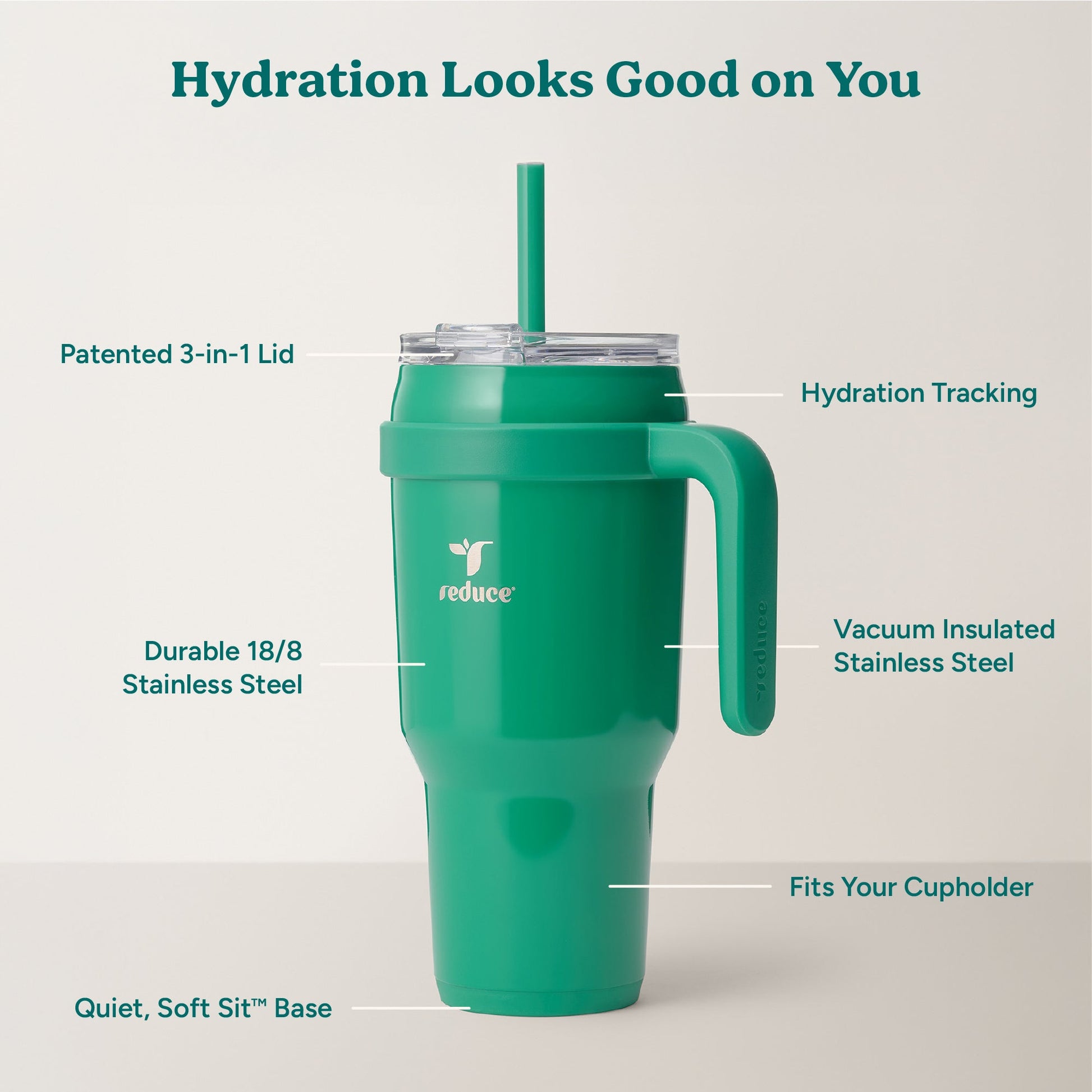 cold1-40-oz-d7 Cold1_40oz_PalmLeaf_Infographic_2.jpg