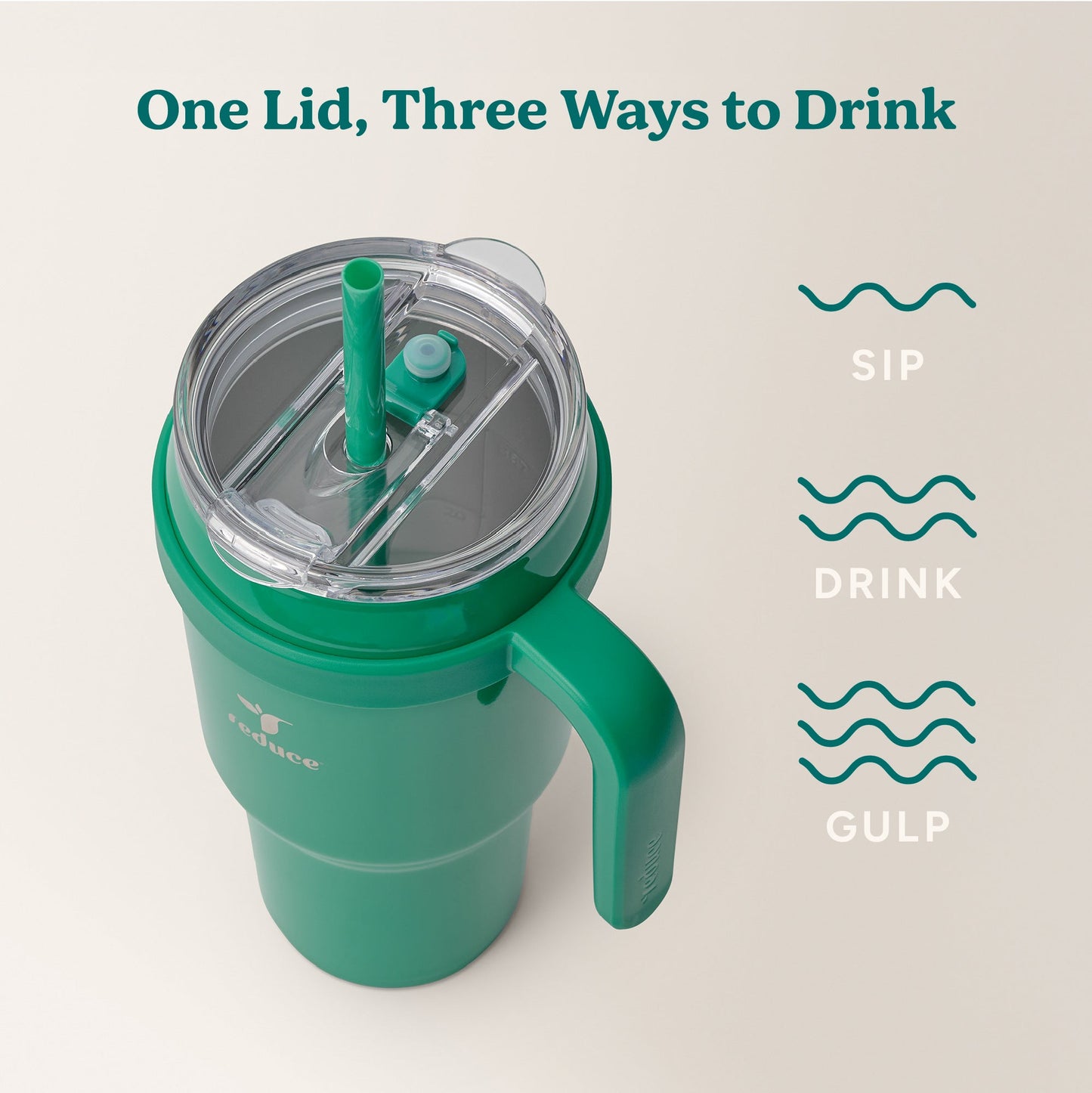 cold1-40-oz-d7 Cold1_40oz_PalmLeaf_Infographic_3.jpg