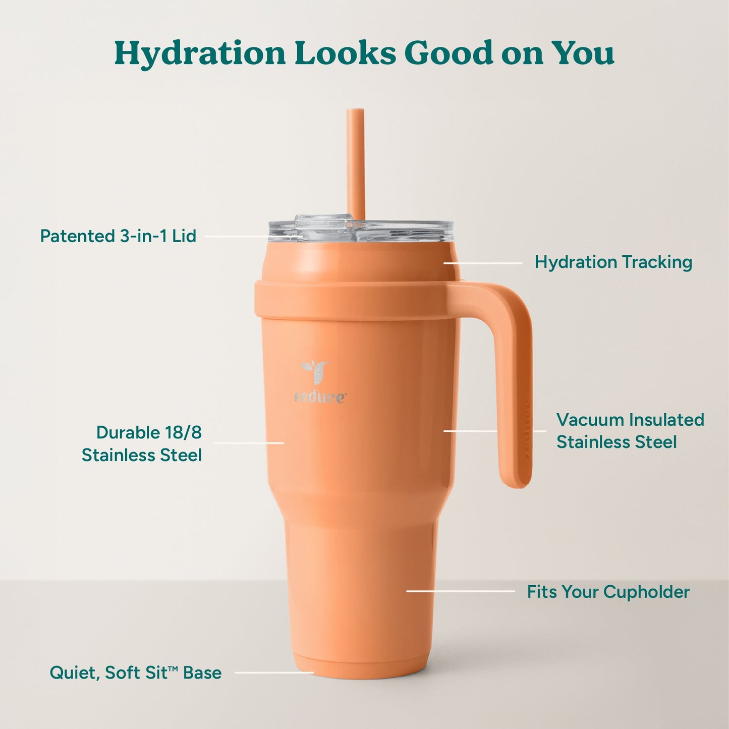 cold1-40-oz-d7 Cold1_40oz_Papaya_Infographic_2.jpg