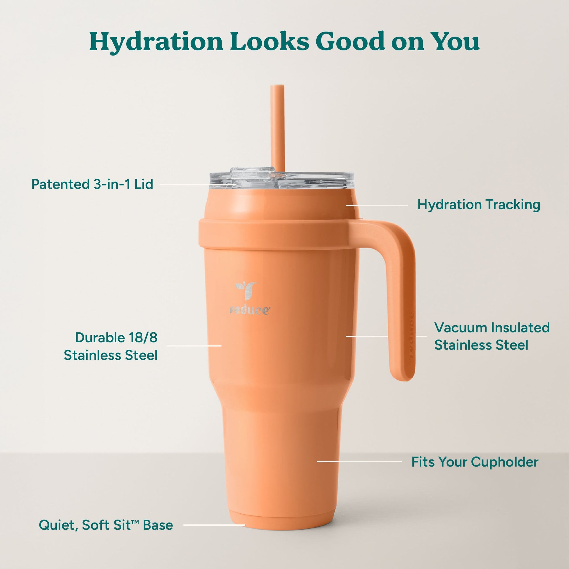 cold1-40-oz-d7 Cold1_40oz_Papaya_Infographic_2.jpg
