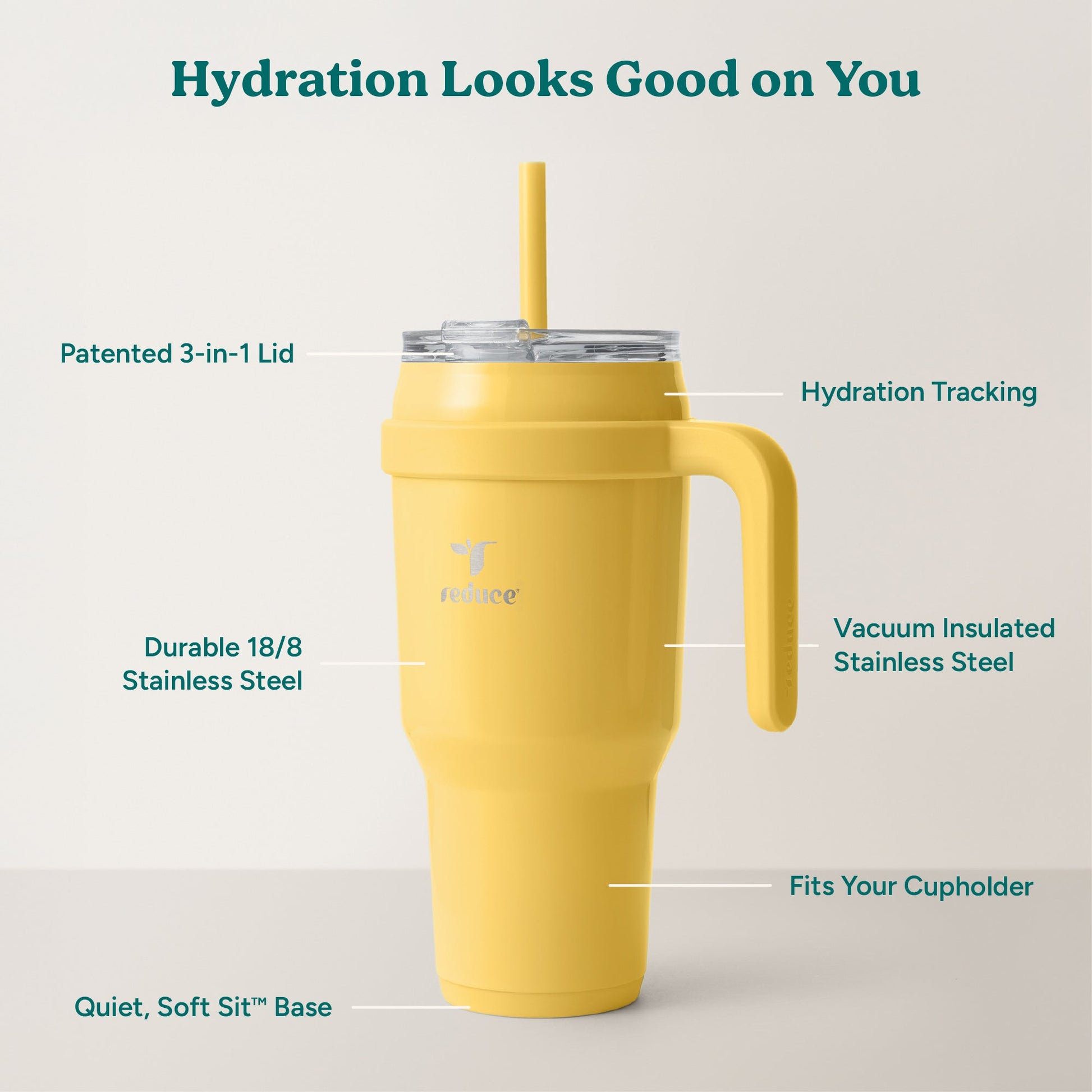 cold1-40-oz-d7 Cold1_40oz_Pineapple_Infographic_2.jpg
